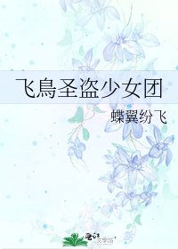 飛鳥聖盜少女團