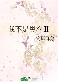 《我不是駭客Ⅱ》