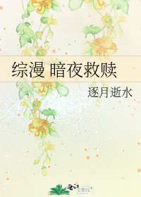 《綜漫 暗夜救贖》