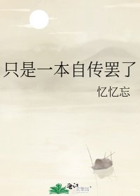 《只是一本自傳罷了》