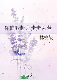 你追我趕之步步為營