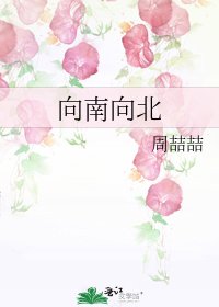 向南向北