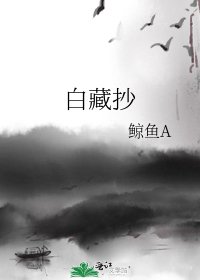 白藏抄