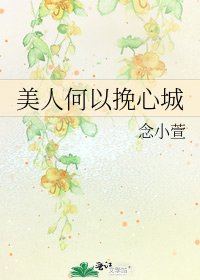 美人何以挽心城