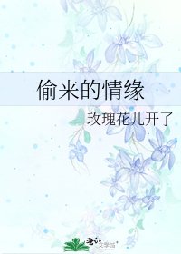 偷來的情緣