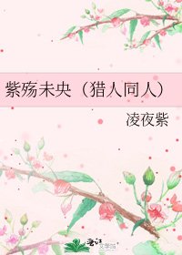 紫殤未央(獵人同人)