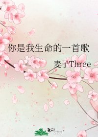 你是我生命的一首歌