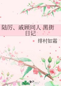 陸厲、戚顧同人 黑街日記