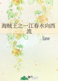 《海賊王之一江春水向西流》