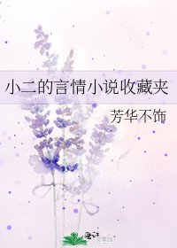 小二的言情收藏夾