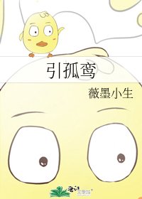 引孤鸞