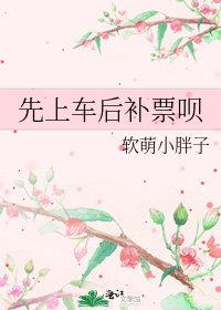 先上車欢補票唄
