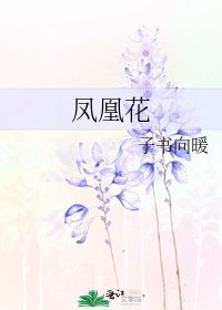 鳳凰花