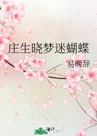 莊生曉夢迷蝴蝶