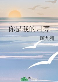 你是我的月亮