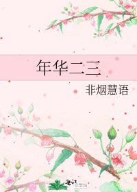年華二三