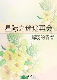 星際之迷途再會