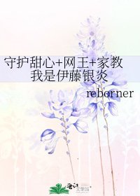 守護甜心+網王+家用我是伊藤銀炎