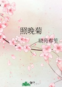 照晚菊