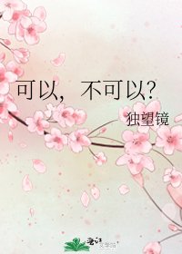 可以,不可以?