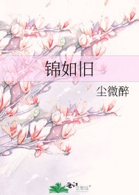 錦如舊