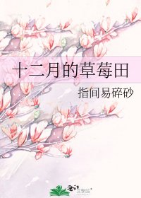 十二月的草莓田