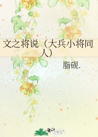 文之將說(大兵小將同人)