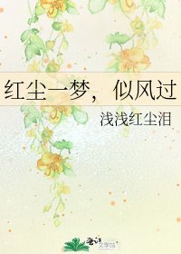 紅塵一夢,似風過