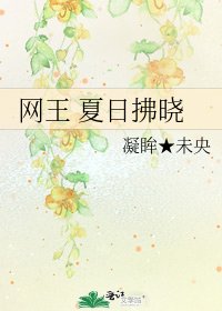 網王 夏日拂曉
