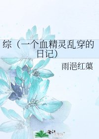 綜(一個血精靈亂穿的日記)