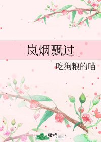 嵐煙飄過