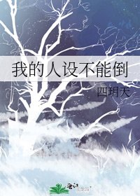我的人設不能倒