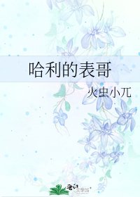 哈利的表革