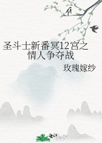 聖鬥士新番冥12宮之情人爭奪戰