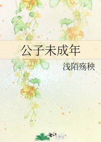 公子未成年