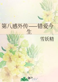 第八感外傳——錯愛今生