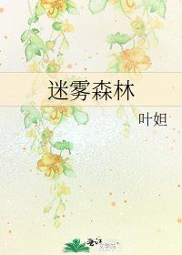迷霧森林
