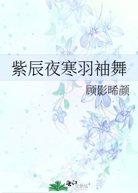 紫辰夜寒羽袖舞