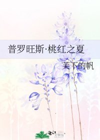 普羅旺斯·桃紅之夏