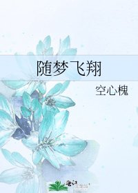 隨夢飛翔