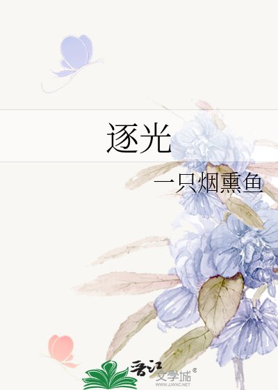 逐光