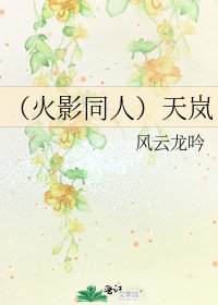 (火影同人)天嵐