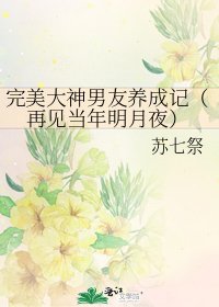完美大神男友養成記(再見當年明月夜)