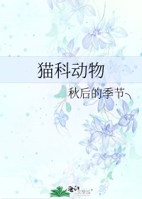 貓科動物
