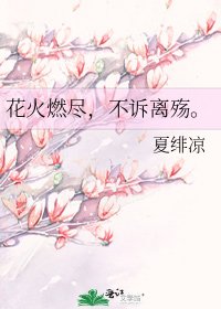 花火燃盡,不訴離殤。