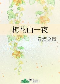 梅花山一夜