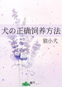 犬の正確飼養方法