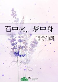 石中火,夢中身