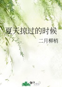 夏天掠過的時候
