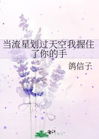當流星劃過天空我握住了你的手